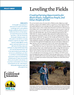 Cover of Leveling the Fields fact sheet