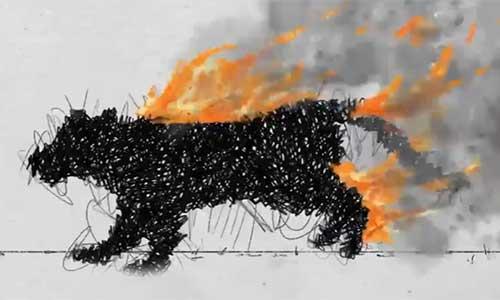An animated tiger on fire
